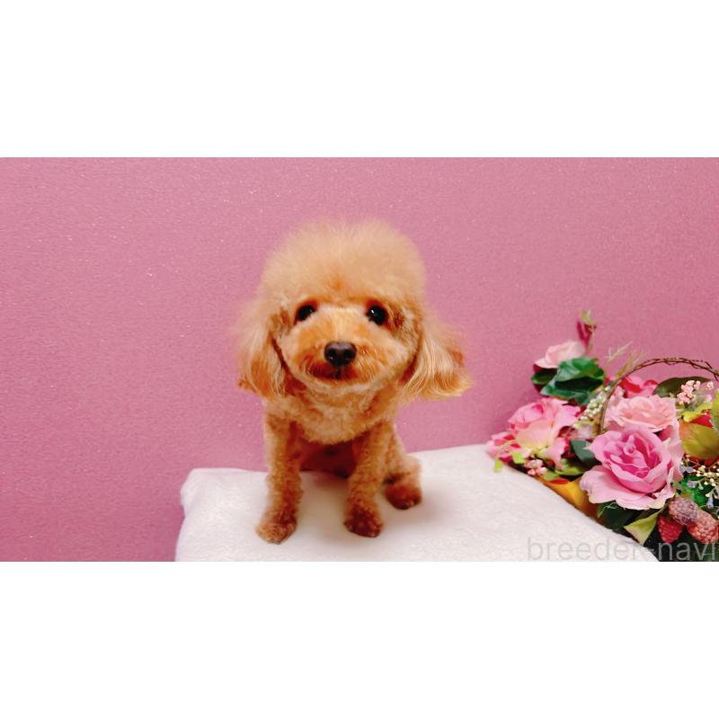 ジェフくん1枚目